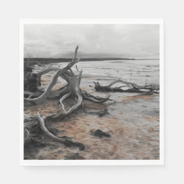 Natuurlijke krachten van Lake Tyrrell Servet