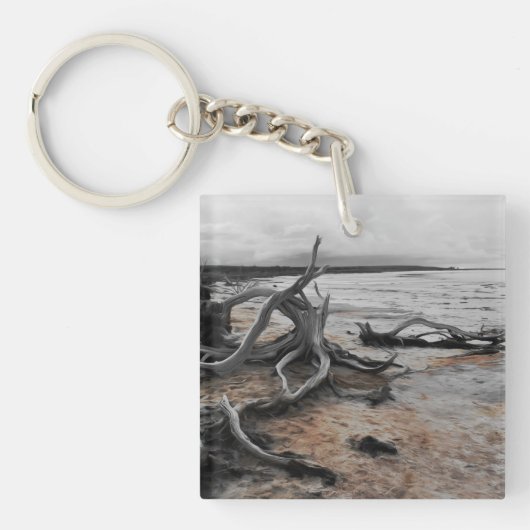 Natuurlijke krachten van Lake Tyrrell Sleutelhanger (voorkant)