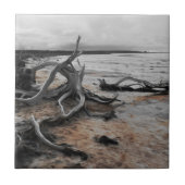 Natuurlijke krachten van Lake Tyrrell Tegeltje (Voorkant)