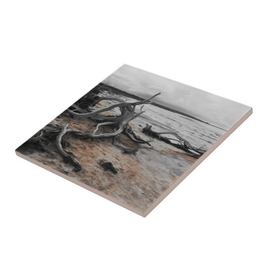 Natuurlijke krachten van Lake Tyrrell Tegeltje (Zijkant)