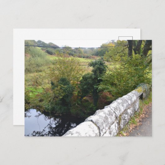 natuurlijke manier van het imiteren van dierenVaka Feestdagenkaart (Voorkant / Achterkant)