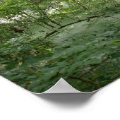 Natuurlijke moeras poster (Hoek)