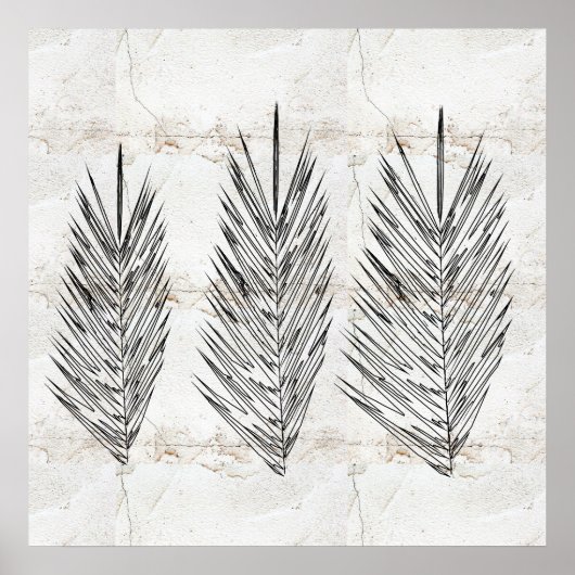 Natuurlijke Muur Abstracte Palmbladeren Tekening Poster (Voorkant)