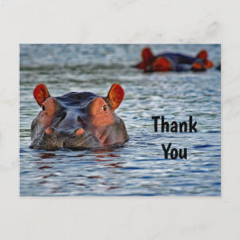 Natuurlijke Nijlpaard Water Foto Bedankt Briefkaart