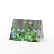 Natuurlijke opstelling van caladium en varens