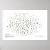 Natuurlijke Orders van Planten - Waarschijnlijkhei Poster (Voorkant)