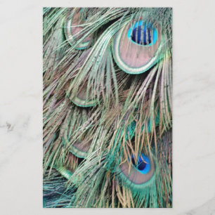 Natuurlijke peacock Eyes Fluffy Feathers Briefpapier