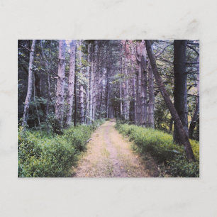 Natuurlijke perfectie briefkaart