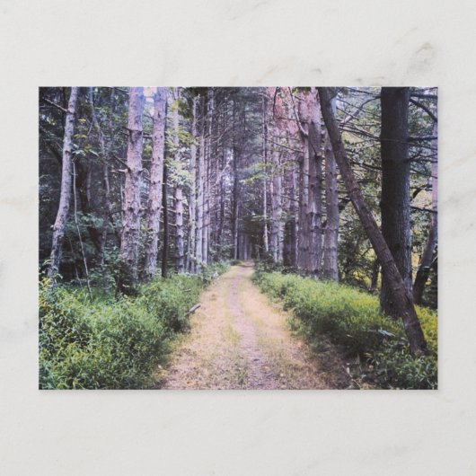 Natuurlijke perfectie briefkaart (Voorkant)