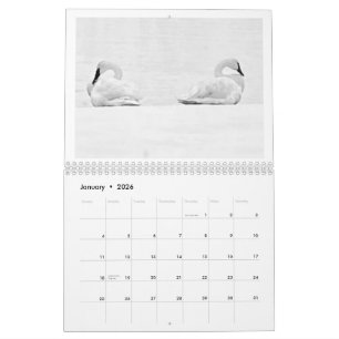 Natuurlijke Perspectieven - 2026 Muurkalender Kalender