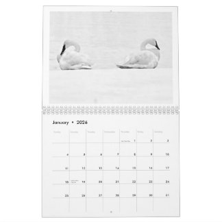 Natuurlijke Perspectieven - 2026 Muurkalender Kalender