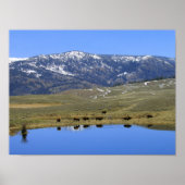 Natuurlijke reflectie poster (Voorkant)