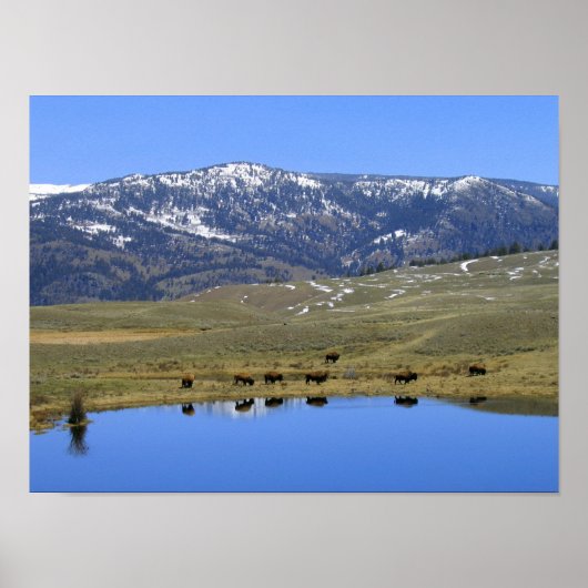 Natuurlijke reflectie poster (Voorkant)