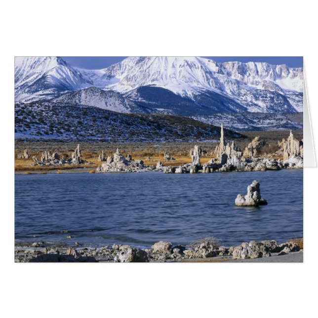 NATUURLIJKE RESERVE VAN DE STAAT MONO LAKE TUFA, (Voorkant Horizontaal)