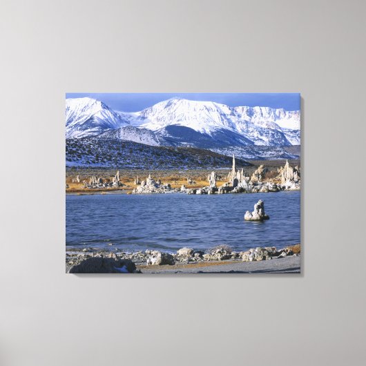 NATUURLIJKE RESERVE VAN DE STAAT MONO LAKE TUFA, CANVAS AFDRUK (Voorkant)