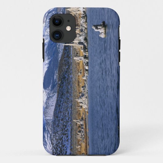 NATUURLIJKE RESERVE VAN DE STAAT MONO LAKE TUFA, Case-Mate iPhone CASE (Achterkant)