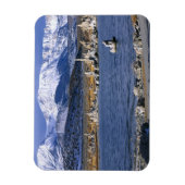 NATUURLIJKE RESERVE VAN DE STAAT MONO LAKE TUFA, MAGNEET (Verticaal)