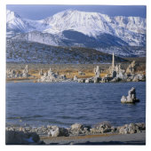 NATUURLIJKE RESERVE VAN DE STAAT MONO LAKE TUFA, TEGELTJE (Voorkant)