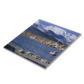 NATUURLIJKE RESERVE VAN DE STAAT MONO LAKE TUFA, TEGELTJE (Zijkant)