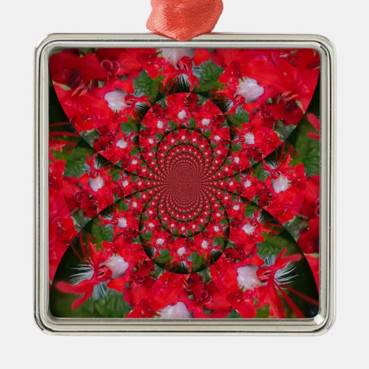 Natuurlijke Rode Bloem Witte Veer Kaleidoscoop Art Metalen Ornament (Voorkant)