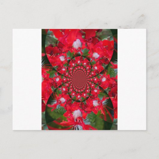 Natuurlijke Rode Bloem Witte Veren caleidoscoop ku Briefkaart (Voorkant)