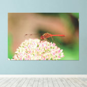 Natuurlijke rode libel canvas afdruk (Insitu (Houten vloer))