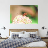 Natuurlijke rode libel canvas afdruk (Insitu (Slaapkamer))
