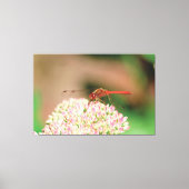 Natuurlijke rode libel canvas afdruk (Voorkant)