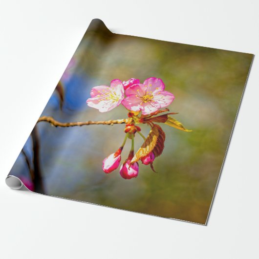 Natuurlijke samenstelling van Sakura-bloemen Cadeaupapier (Uitgerold)