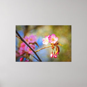 Natuurlijke Samenstelling Van Sakura Bloemen In De Canvas Afdruk