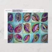 natuurlijke schalen 3 briefkaart (Voorkant / Achterkant)