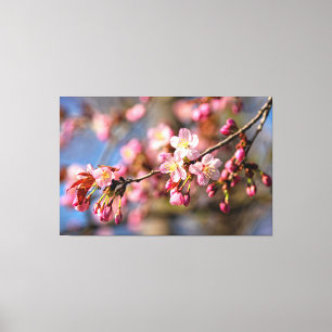 Natuurlijke Schildering Van Sakurabloemen Op Een W Canvas Afdruk
