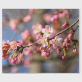 Natuurlijke schilders van de Sakura-bloemen op een Cadeaupapier (Vlak)