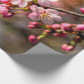 Natuurlijke schilders van de Sakura-bloemen op een Cadeaupapier (Hoek)