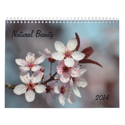 Natuurlijke schoonheid kalender (Hoes)