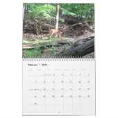 Natuurlijke schoonheid kalender (Feb 2027)