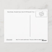 Natuurlijke schoonheid... prachtige Cactus Colors. Briefkaart (Achterkant)