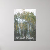 Natuurlijke schoonheid Witte berk Canvas Afdruk (Voorkant)