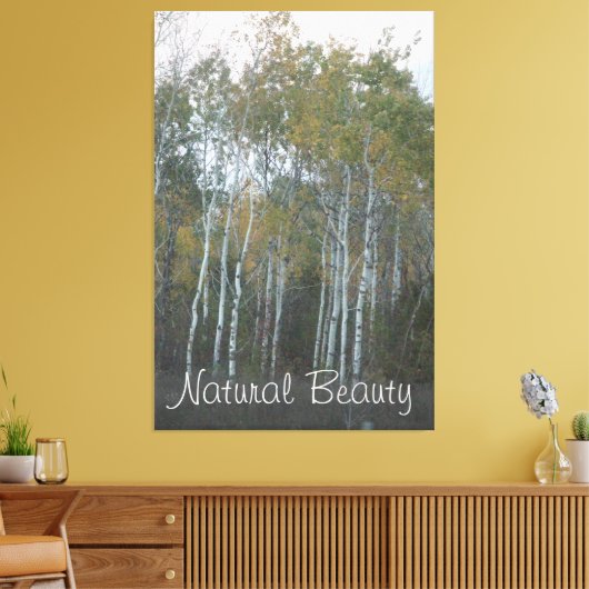 Natuurlijke schoonheid Witte berk Canvas Afdruk (Insitu (Woonkamer))