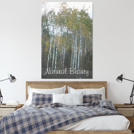 Natuurlijke schoonheid Witte berk Canvas Afdruk (Insitu (Slaapkamer))