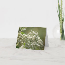 Natuurlijke Schoonheid Witte Wilde Bloemen Notitie Bedankkaart