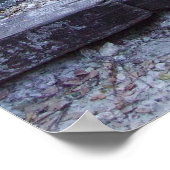 Natuurlijke schouwing poster (Hoek)