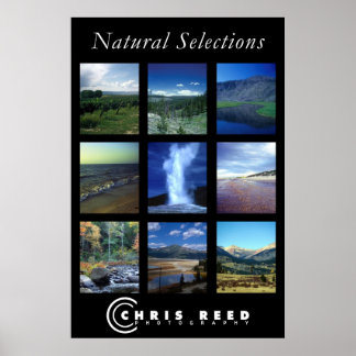 Natuurlijke selecties poster
