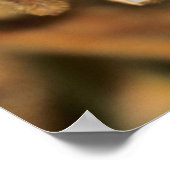 Natuurlijke sojabonen poster (Hoek)