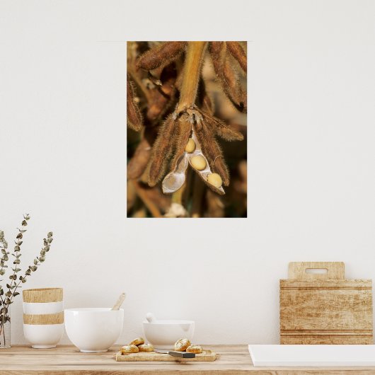 Natuurlijke sojabonen poster (Keuken)