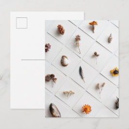 Natuurlijke Specimen Collectie Minimalist Briefkaart
