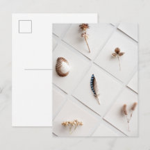 Natuurlijke Specimen Collectie Minimalist