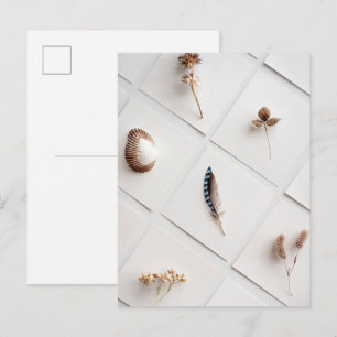 Natuurlijke Specimen Collectie Minimalist Briefkaart