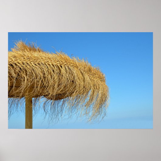 Natuurlijke strand paraplu poster (Voorkant)