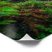 Natuurlijke Symfonie: De Watervallen van Killarney Perfect Poster (Hoek)